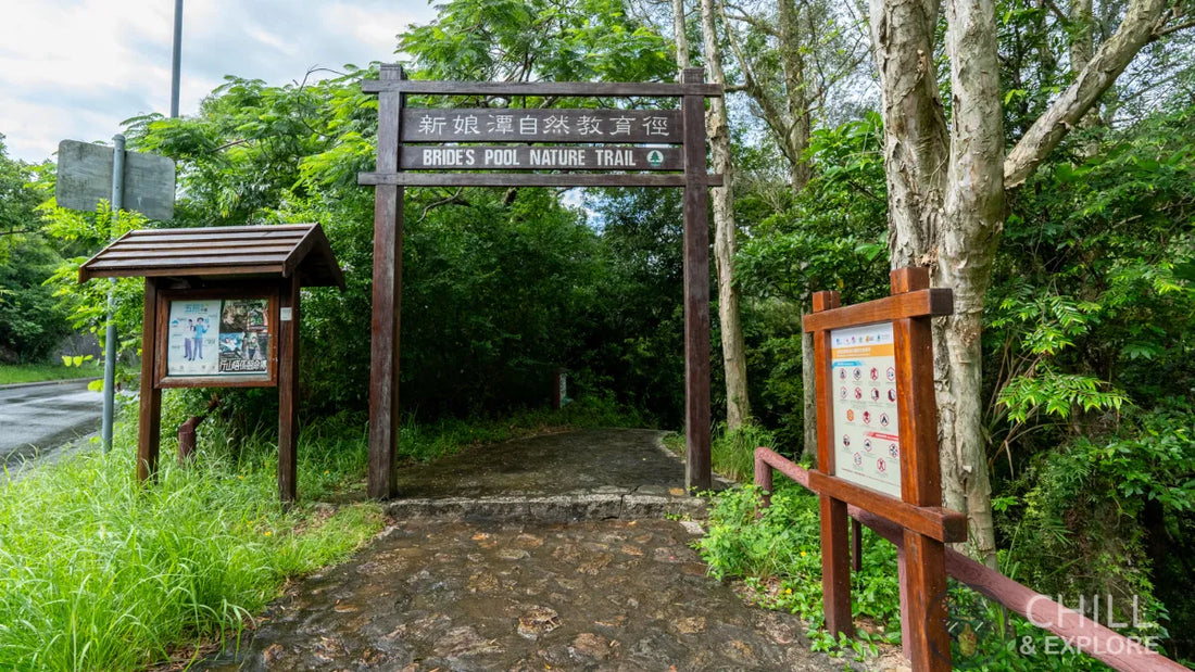 Bride's Pool: The Hong Kong Trail Where the City Becomes a Rainforest