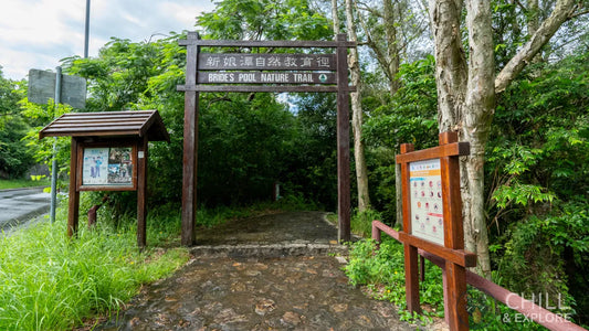 Bride's Pool: The Hong Kong Trail Where the City Becomes a Rainforest