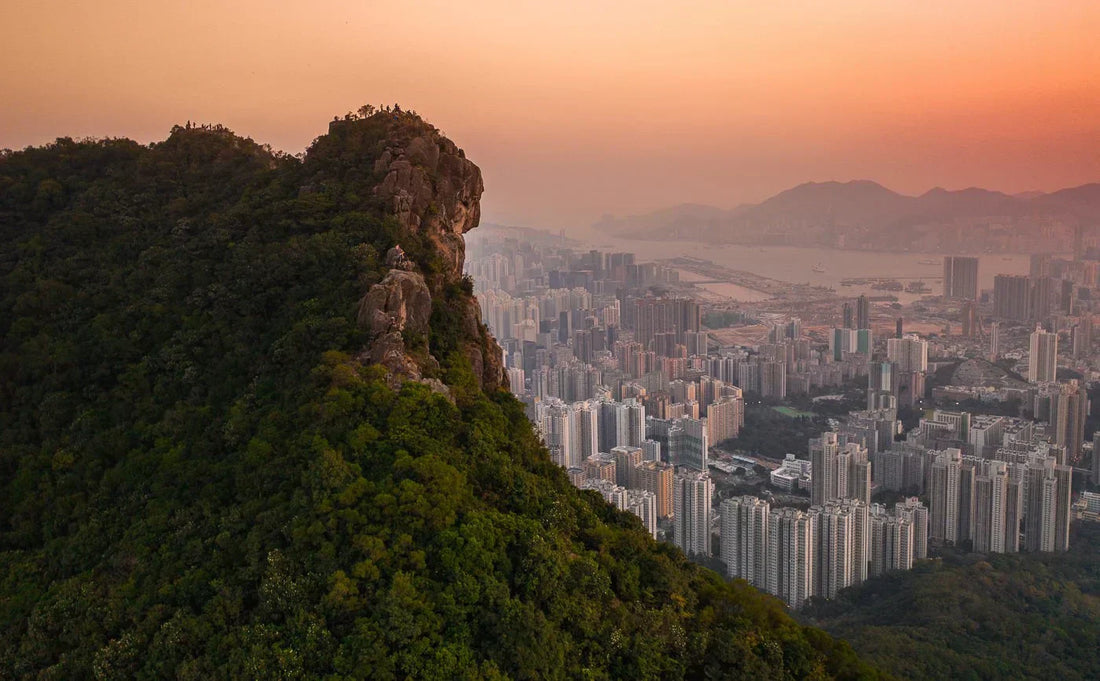 Lion Rock Hong Kong: The Trail Behind the City's Most Iconic Silhouette