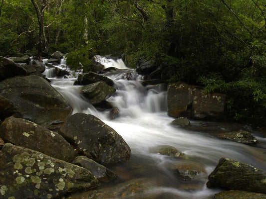 Summer Hiking in Hong Kong: How to Survive (and Enjoy) the Heat