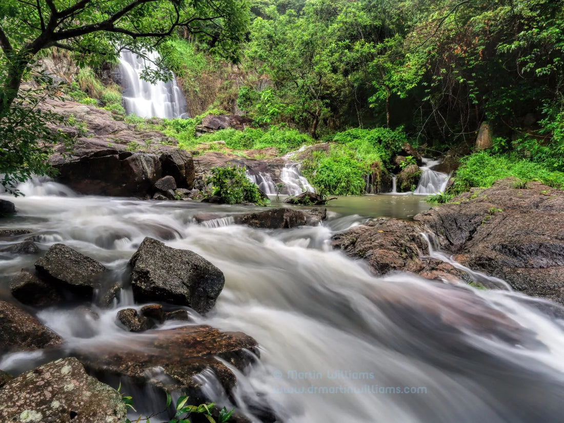 Hong Kong's Best Waterfall Hikes (Best Visited After Rain)