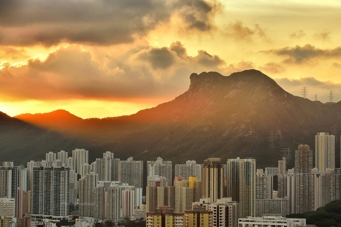 Leaving Hong Kong Gifts: The Farewell Present That Actually Means Something